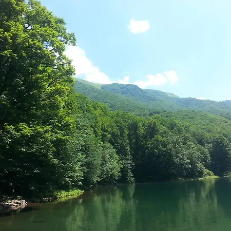 Mijatovic